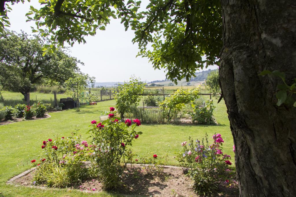 Domizil Im Weserbergland Dolme 외부 사진